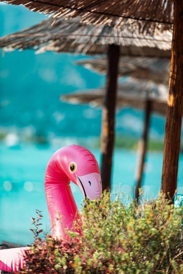 Aquata Apartments Τίβατ Εξωτερικό φωτογραφία
